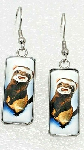 Ferret standing hind - on, legs